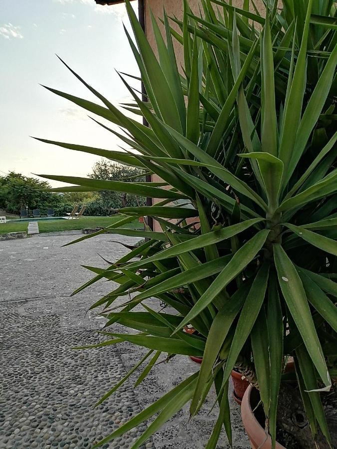 B&B Ronco Degli Ulivi Ιζέο Εξωτερικό φωτογραφία