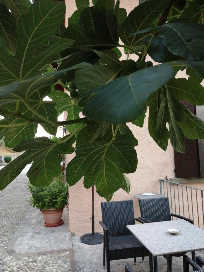 B&B Ronco Degli Ulivi Ιζέο Εξωτερικό φωτογραφία
